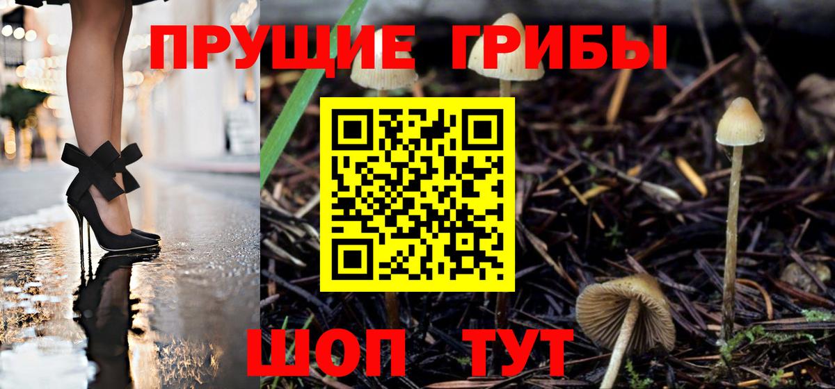 Галлюциногенные грибы мицелий Михайловка