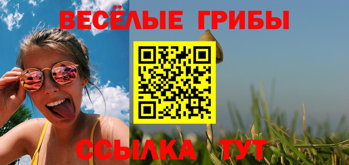 Псилоцибиновые грибы мухоморы  что такое наркотик  Михайловка  Вход с VPN 
